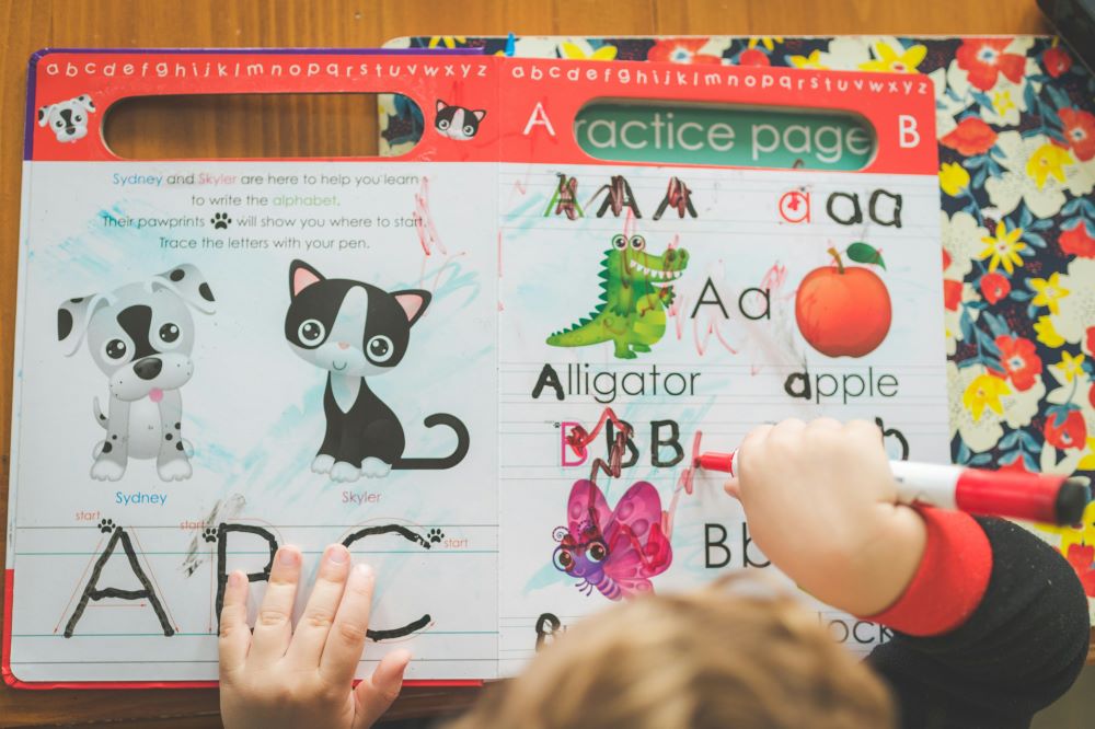 Language development in early childhood