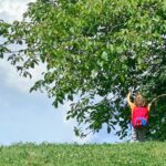 A Montessori View on Error and Growth