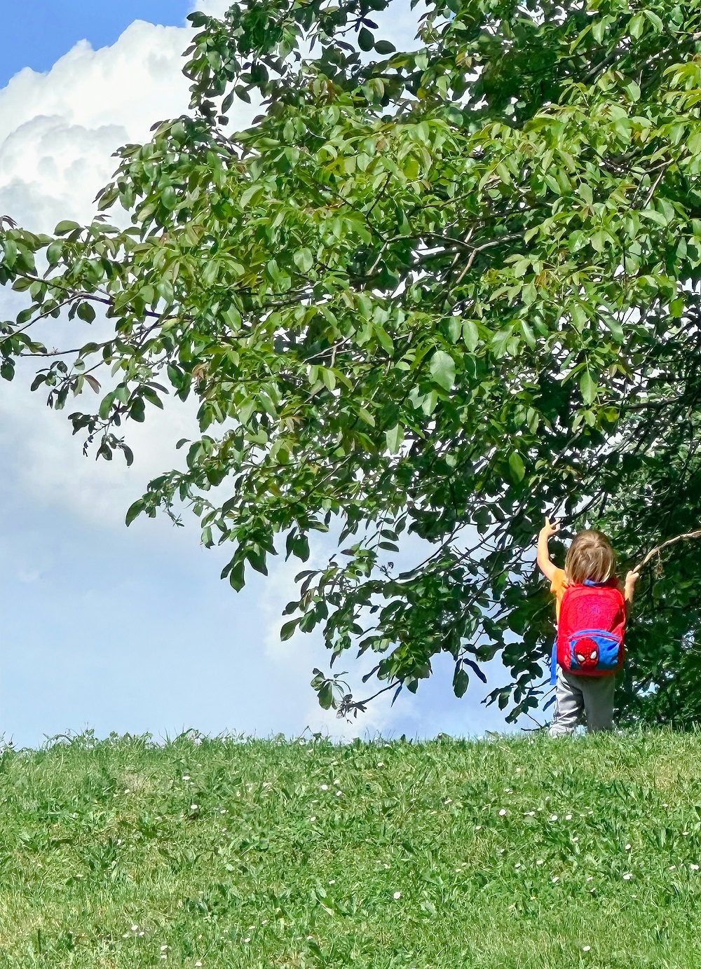 A Montessori View on Error and Growth